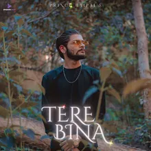 Tere Bina